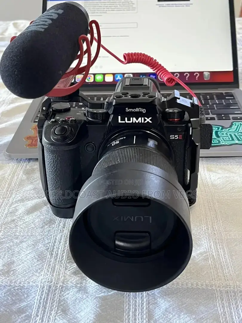 Panasonic Lumix Gh5 Ii Mirrorless Camera With 12-60mm Lens