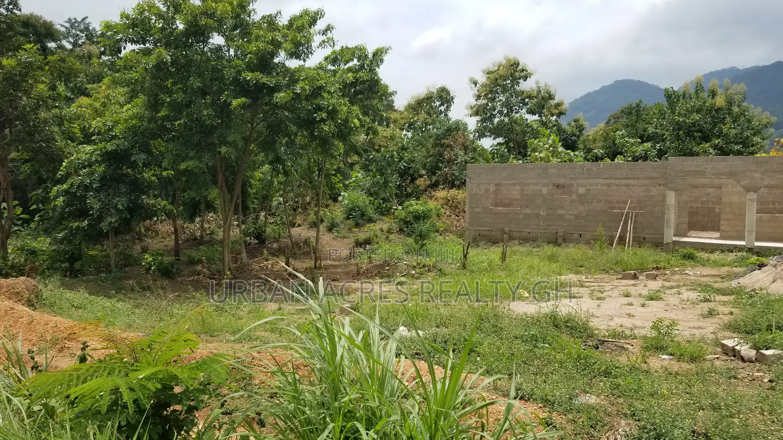 Volta Region - Ho, (Kpenoe) _ 1 Plot (80' X 100') Land
