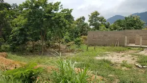 Volta Region - Ho, (Kpenoe) _ 1 Plot (80' X 100') Land