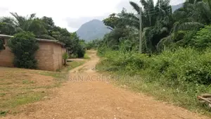 Volta Region - Ho, (Kpenoe) _ 1 Plot (80' X 100') Land