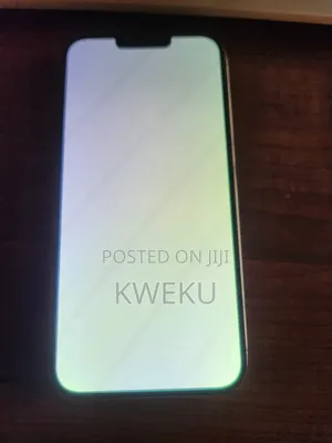 iPhone 13 Pro Max White Screen Fix