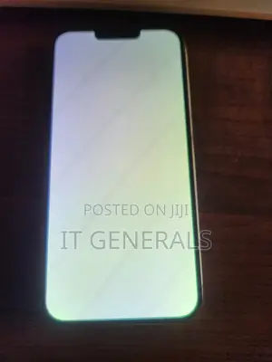 iPhone 13 Pro Max White Screen Fix