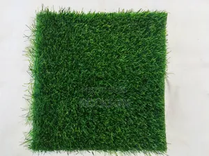 Artificial Grass for Rent and Sale