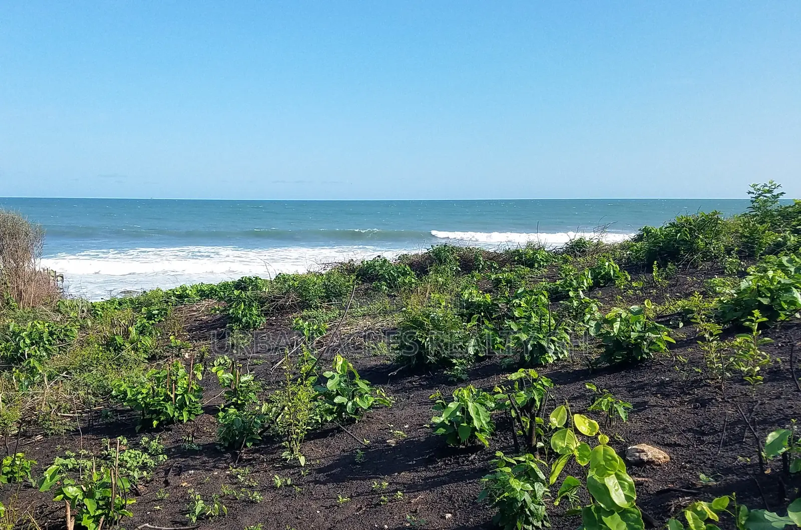 Central Region, (Gomoa Fetteh) _ 5 Plots Oceanfront Land
