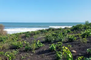 Central Region, (Gomoa Fetteh) _ 5 Plots Oceanfront Land