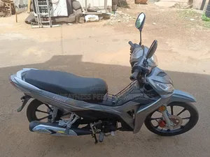 Luojia 110cc 2022 Gray