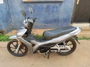 Luojia 110cc 2022 Gray