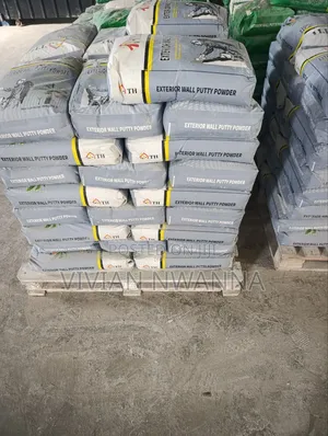 Skimming Putty Powder