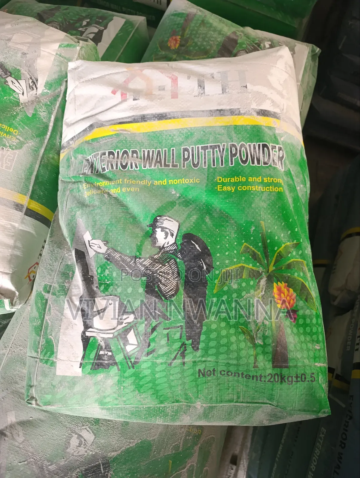 Skimming Putty Powder