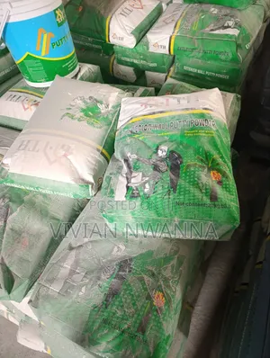 Skimming Putty Powder