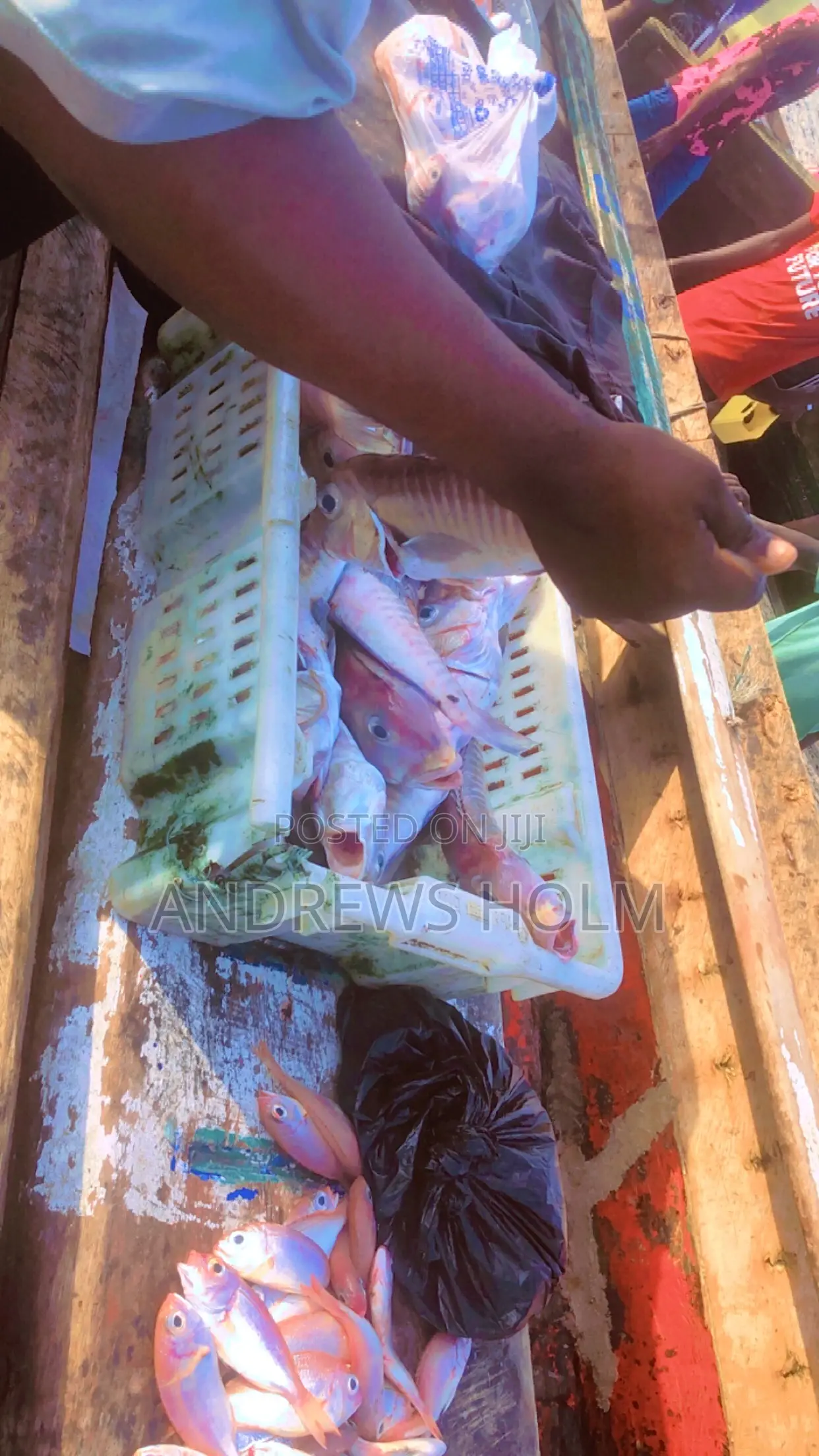 Fresh Fish