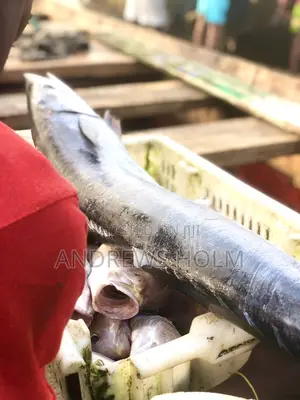 Fresh Fish