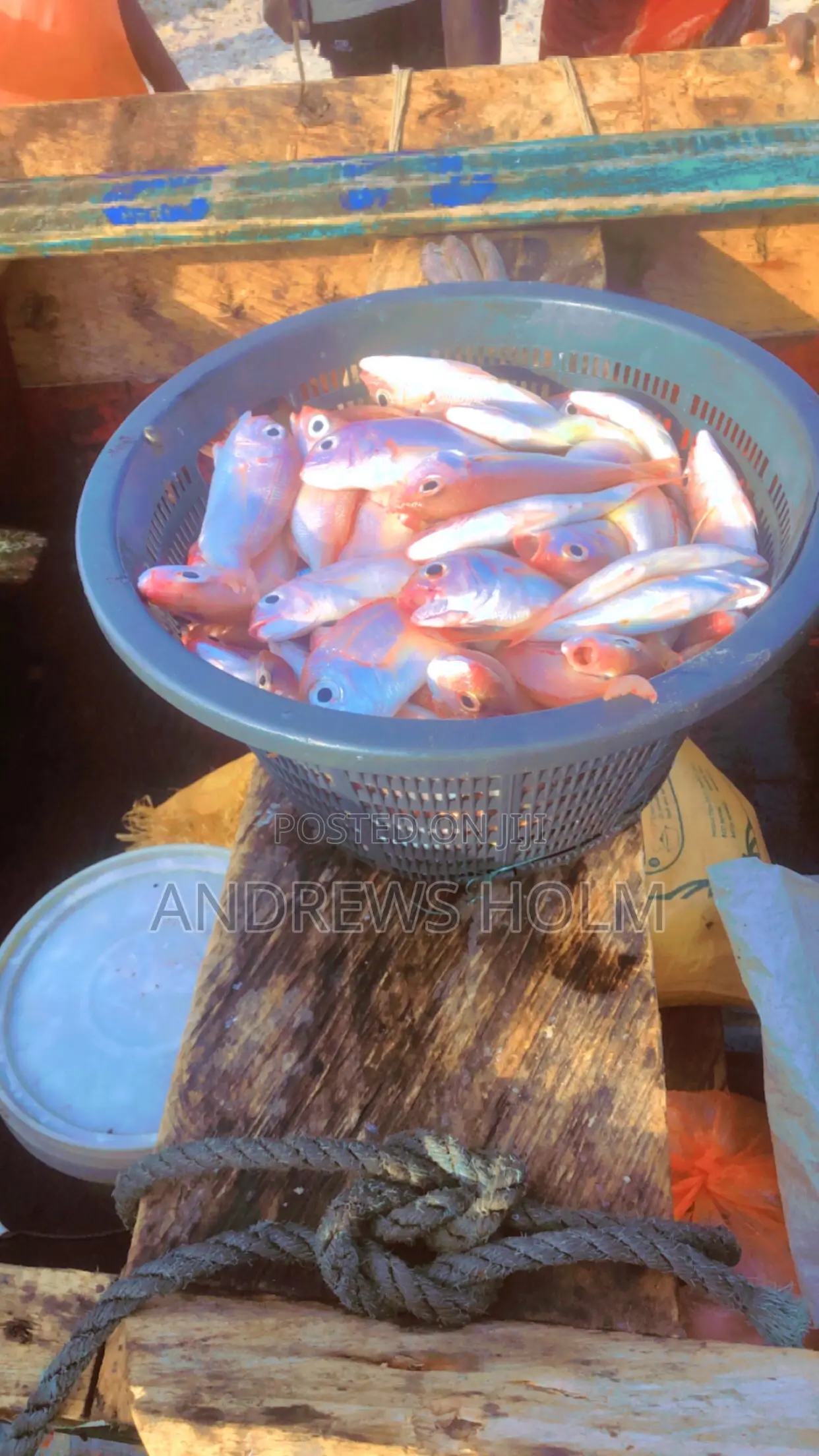 Fresh Fish