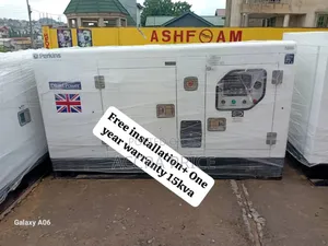 Power All Day Generator 50kva Perkins Diesel Bearable Noise