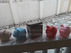 Piggy Bank Susu Box
