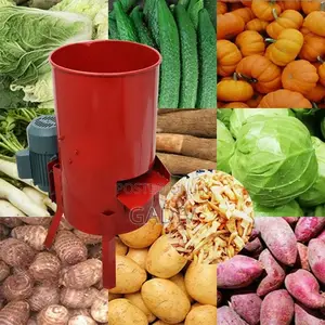 Fruit And Vegetable Shredder Machine