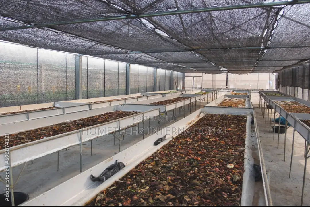 Highly Lucrative BSF Farming