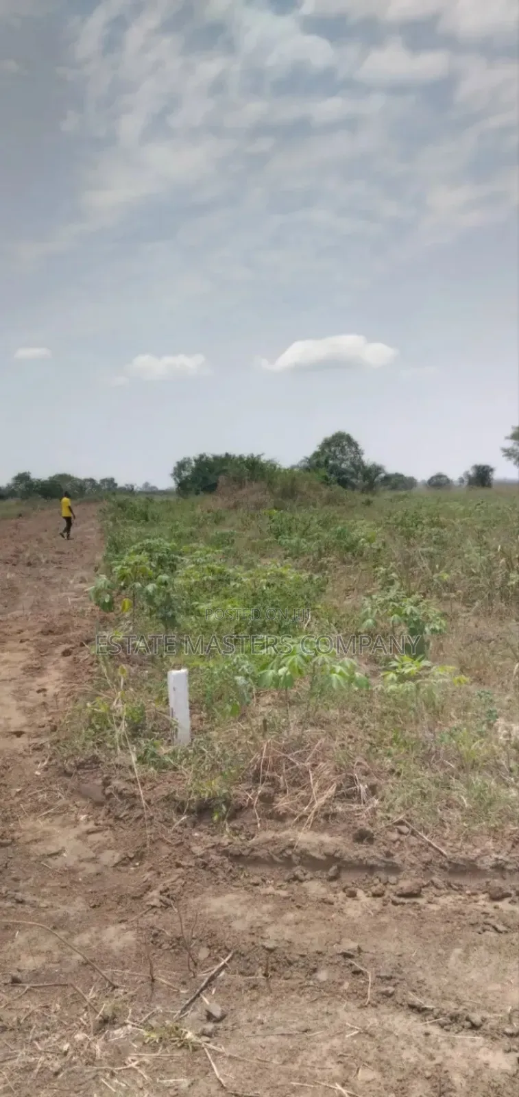 Greenwich Land Available