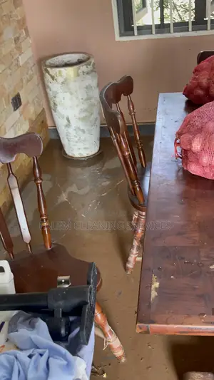Flood Cleaning