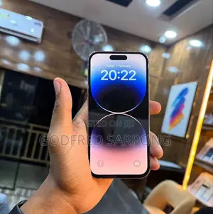 Apple iPhone 14 Pro Max 256 GB Silver