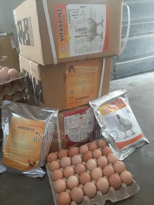 Poultry Anticoccidial and Vitamins Supplements.
