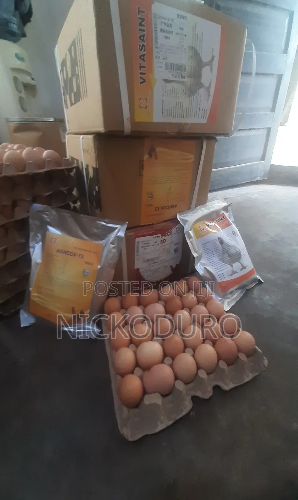 Poultry Anticoccidial and Vitamins Supplements.