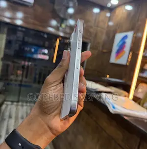 Apple iPhone 15 Pro Max 256 GB Silver