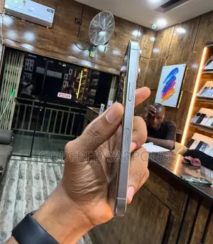 Apple iPhone 15 Pro Max 256 GB Silver