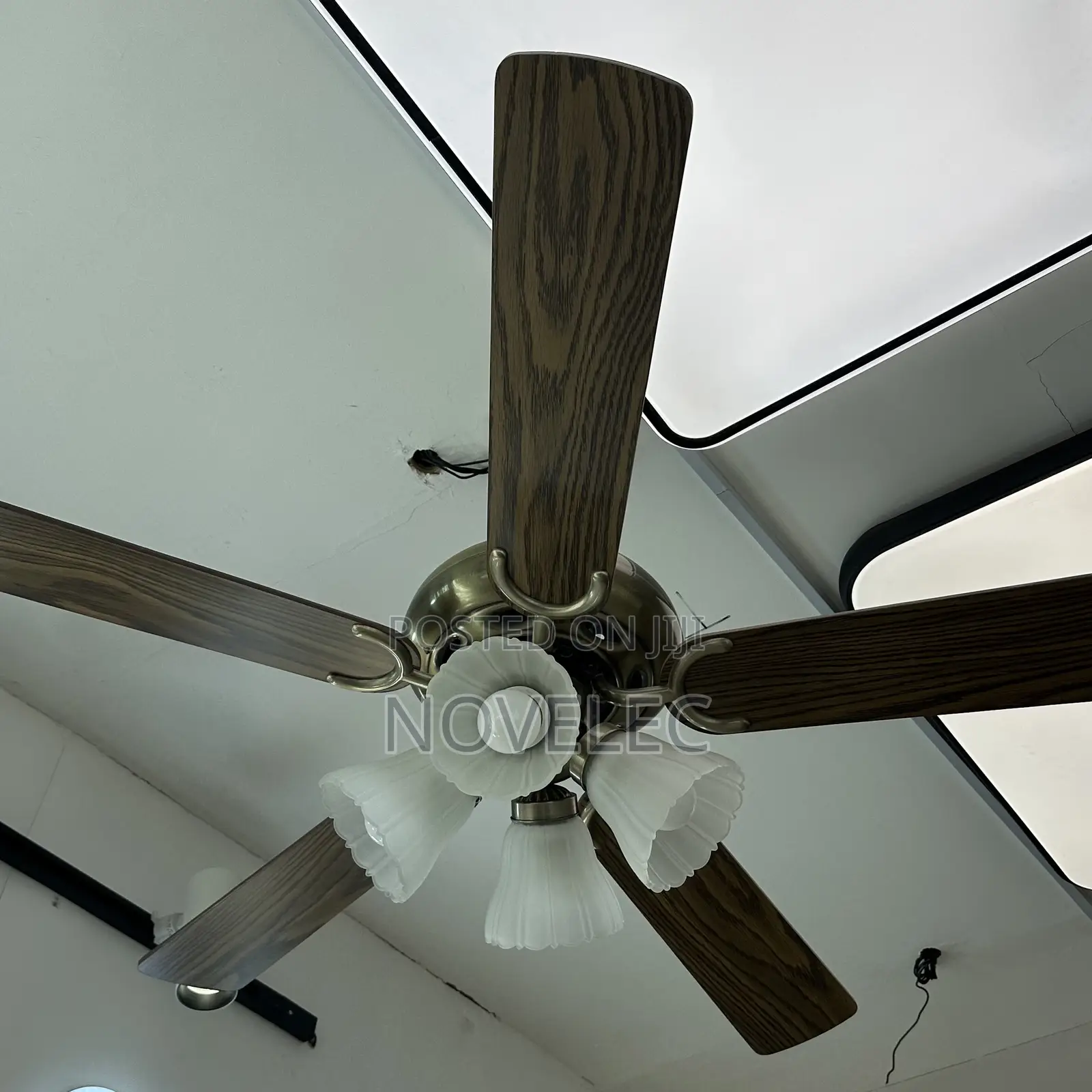 Vintage Ceiling Fan With Light