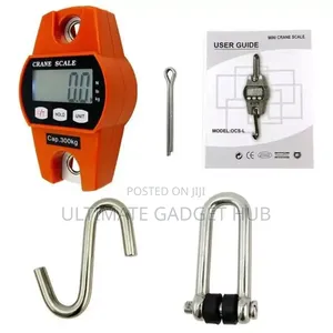 Mini Crane Scale