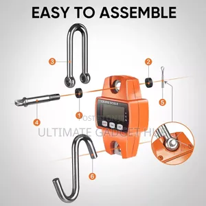 Mini Crane Scale