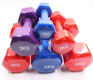12kg Fitbell Dumbell Set