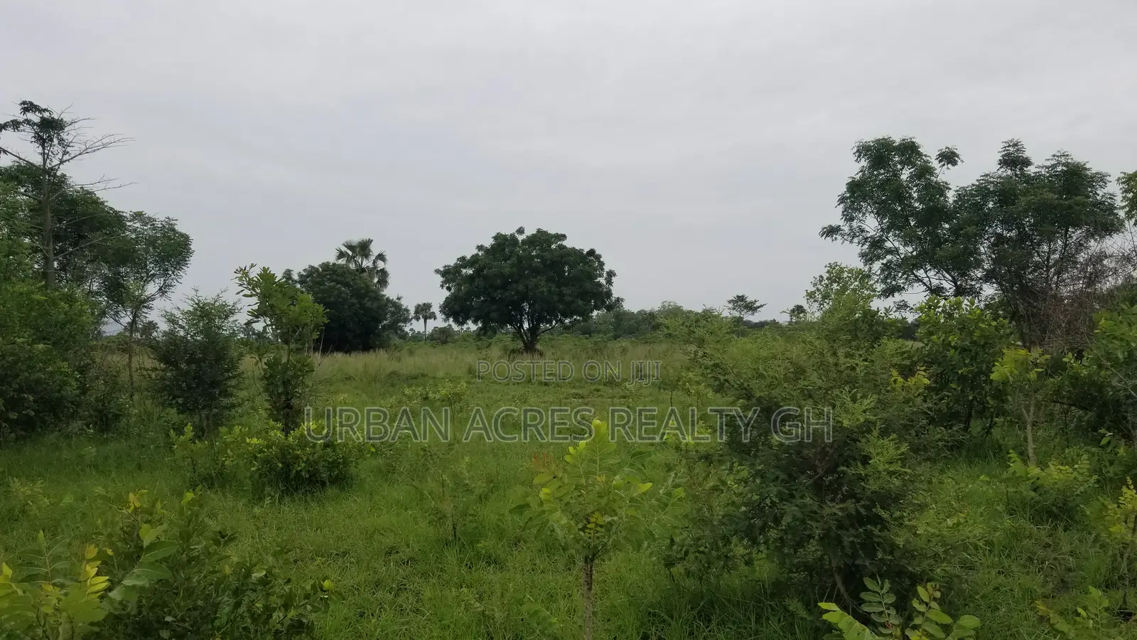 Volta Region - Ho, (Adaklu) _ 400+ Acres Mixed Farmland
