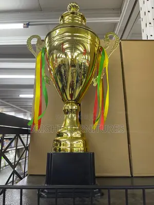 Award  Trophy Cups for Rewards