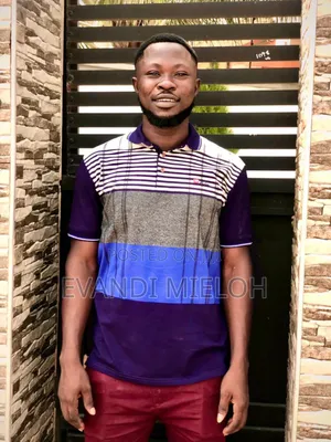I Am Online Driver Looking For Car To Work