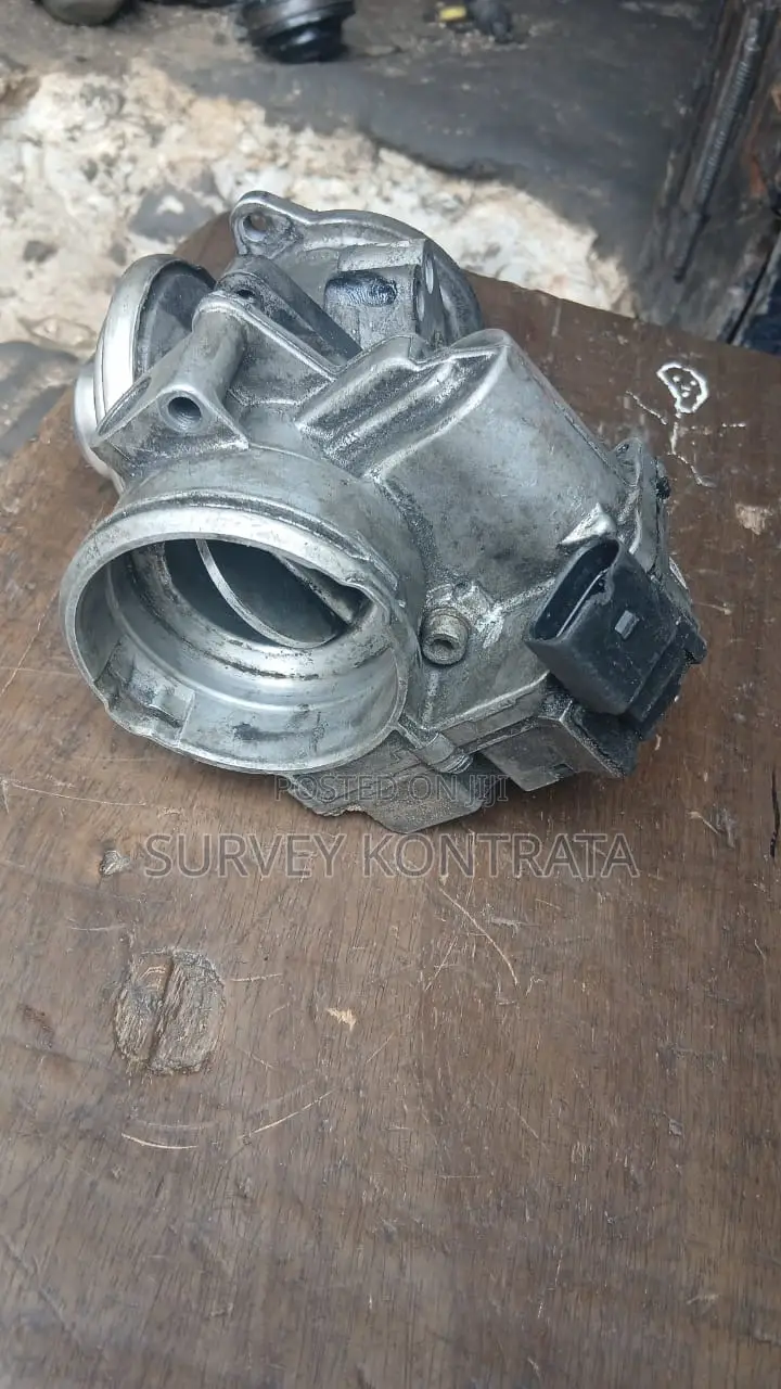 Vw Tdi Throttle Body and Abs Module