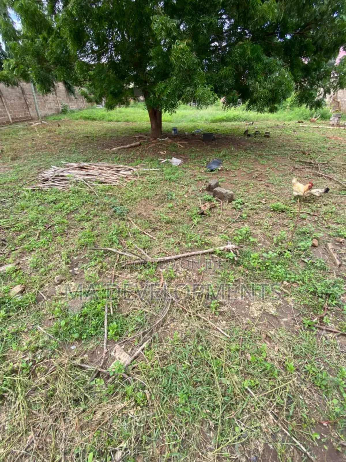4 Plot of Land for Sale at Achimota Kingsby