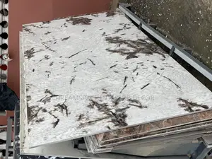 Premium Exotic Granite Slabs for Countertops, Floors Wall