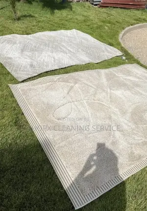 Sofa Carpet Deep Cleaning With Stain and Odor Removal