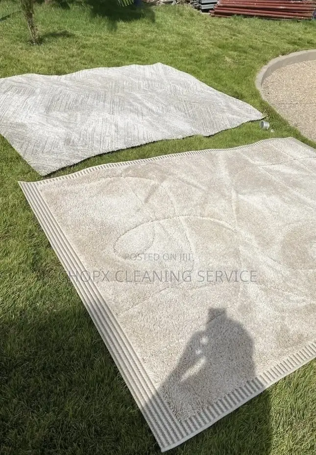 Sofa Carpet Deep Cleaning With Stain and Odor Removal