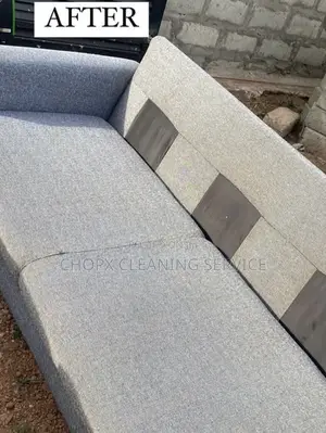 Deep Sofa Carpet Cleaning With Stain and Odor Elimination