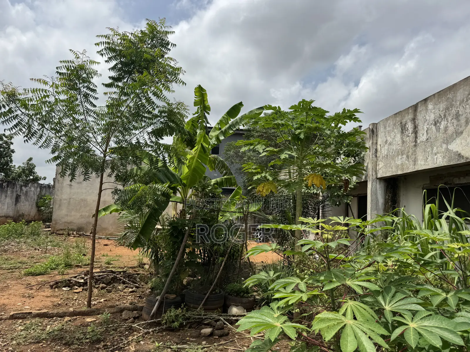 2 Plots of Land for Sale at Abelemkpe
