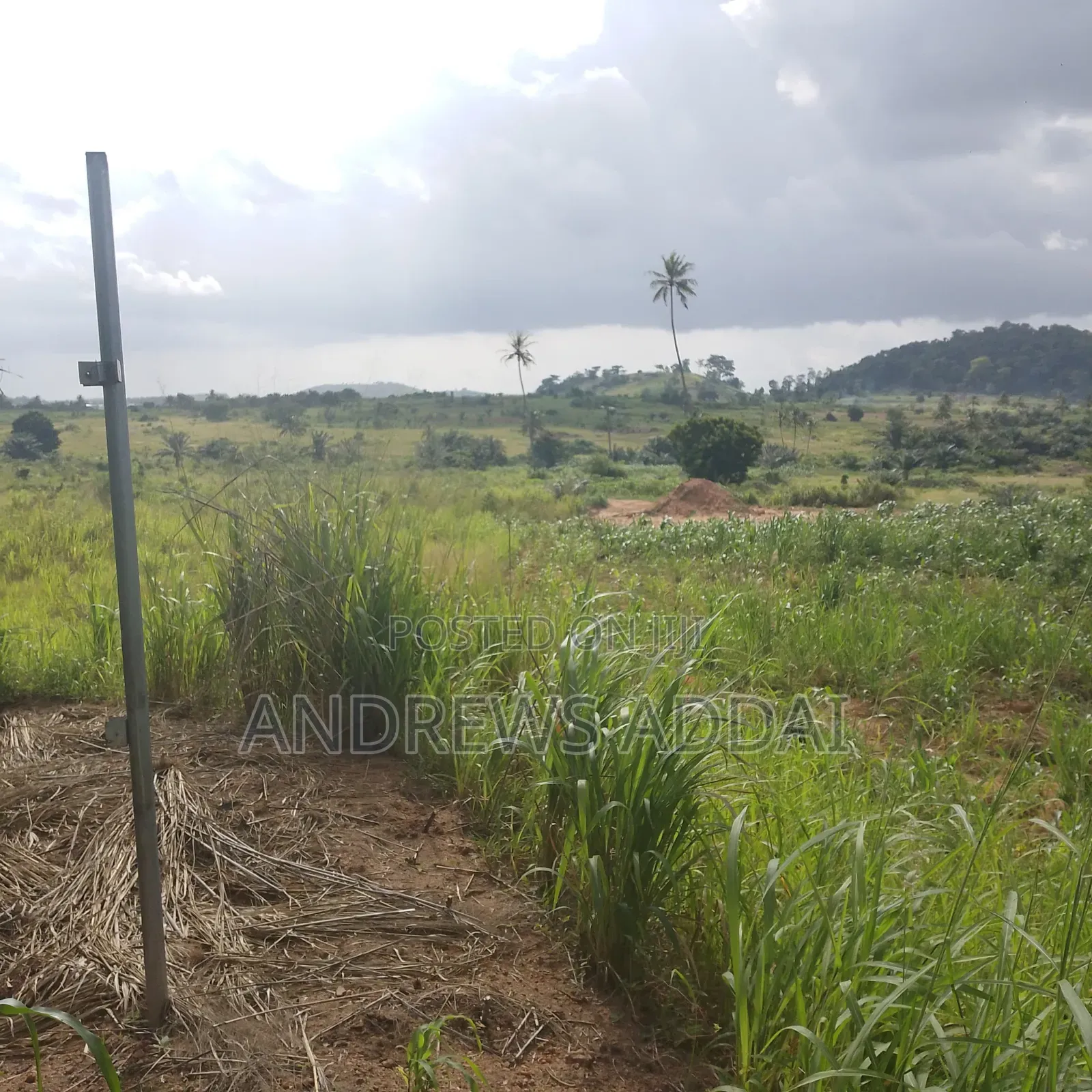 Genuine Land With Title for Sale