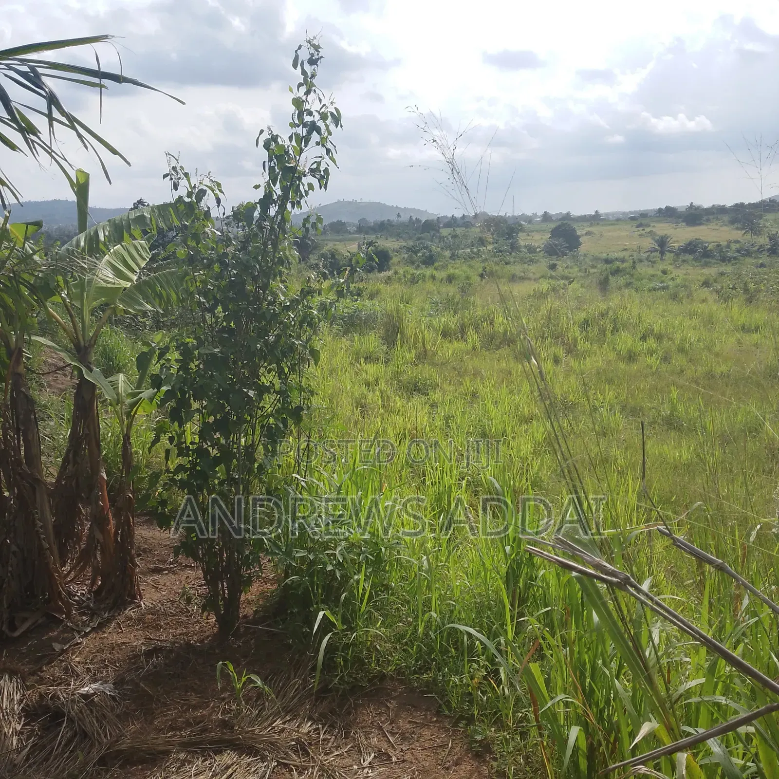 Genuine Land With Title for Sale