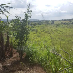 Genuine Land With Title for Sale