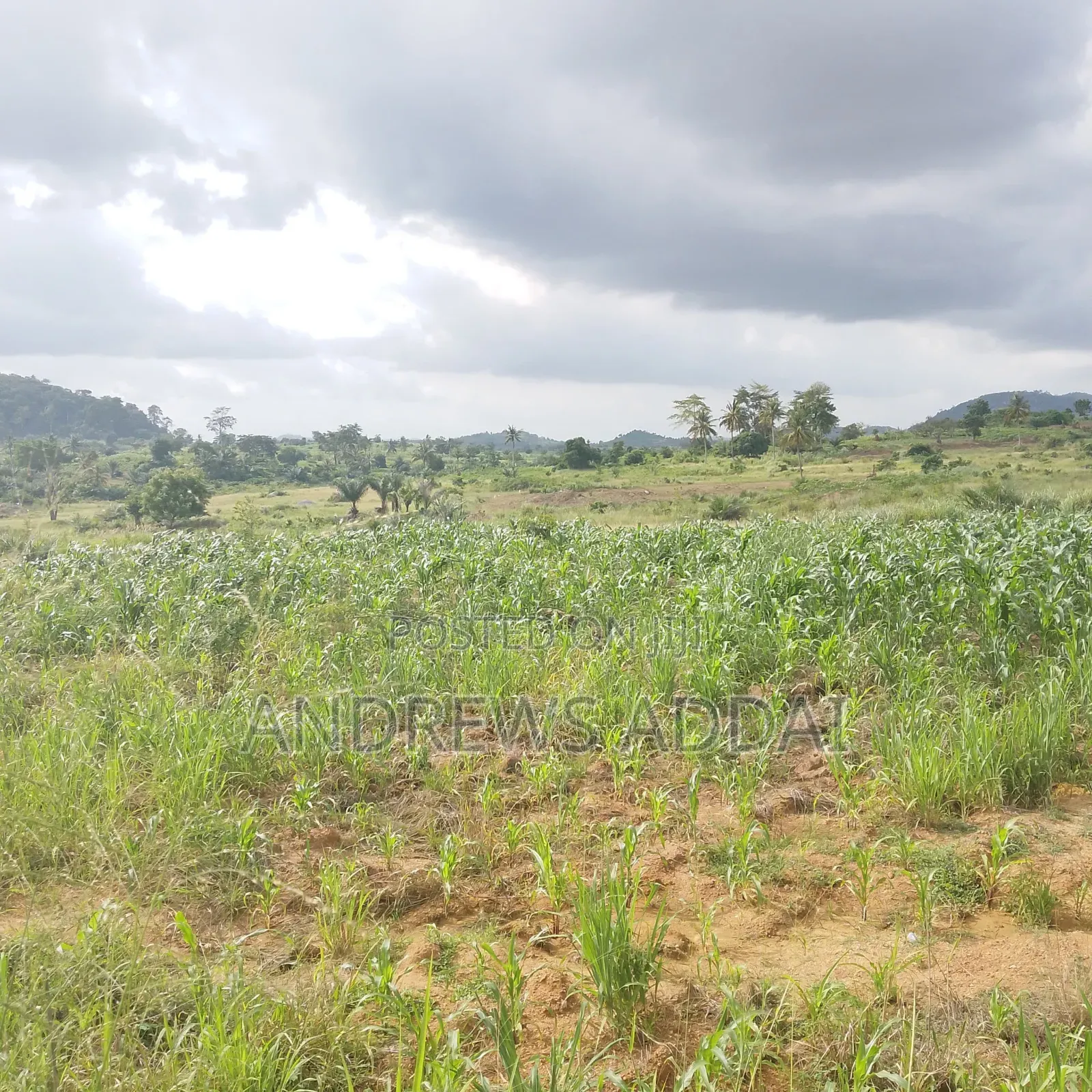 Genuine Land With Title for Sale