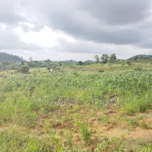 Genuine Land With Title for Sale