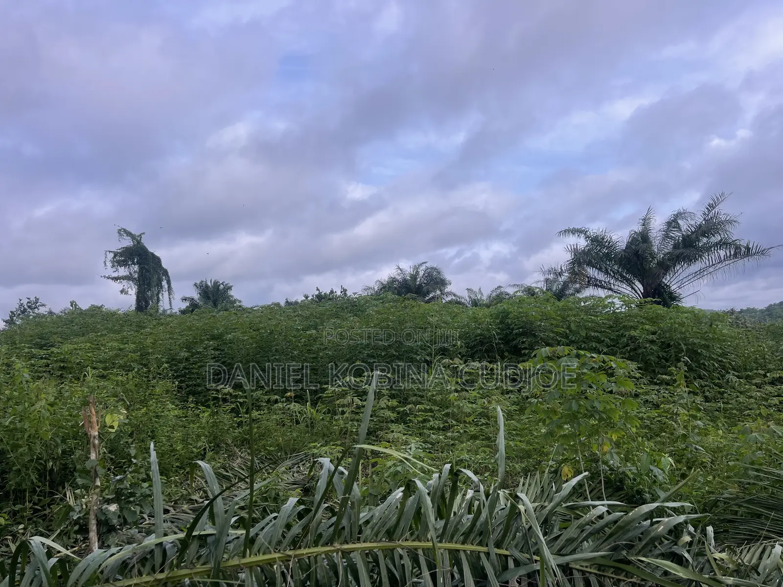 Lands for Sale