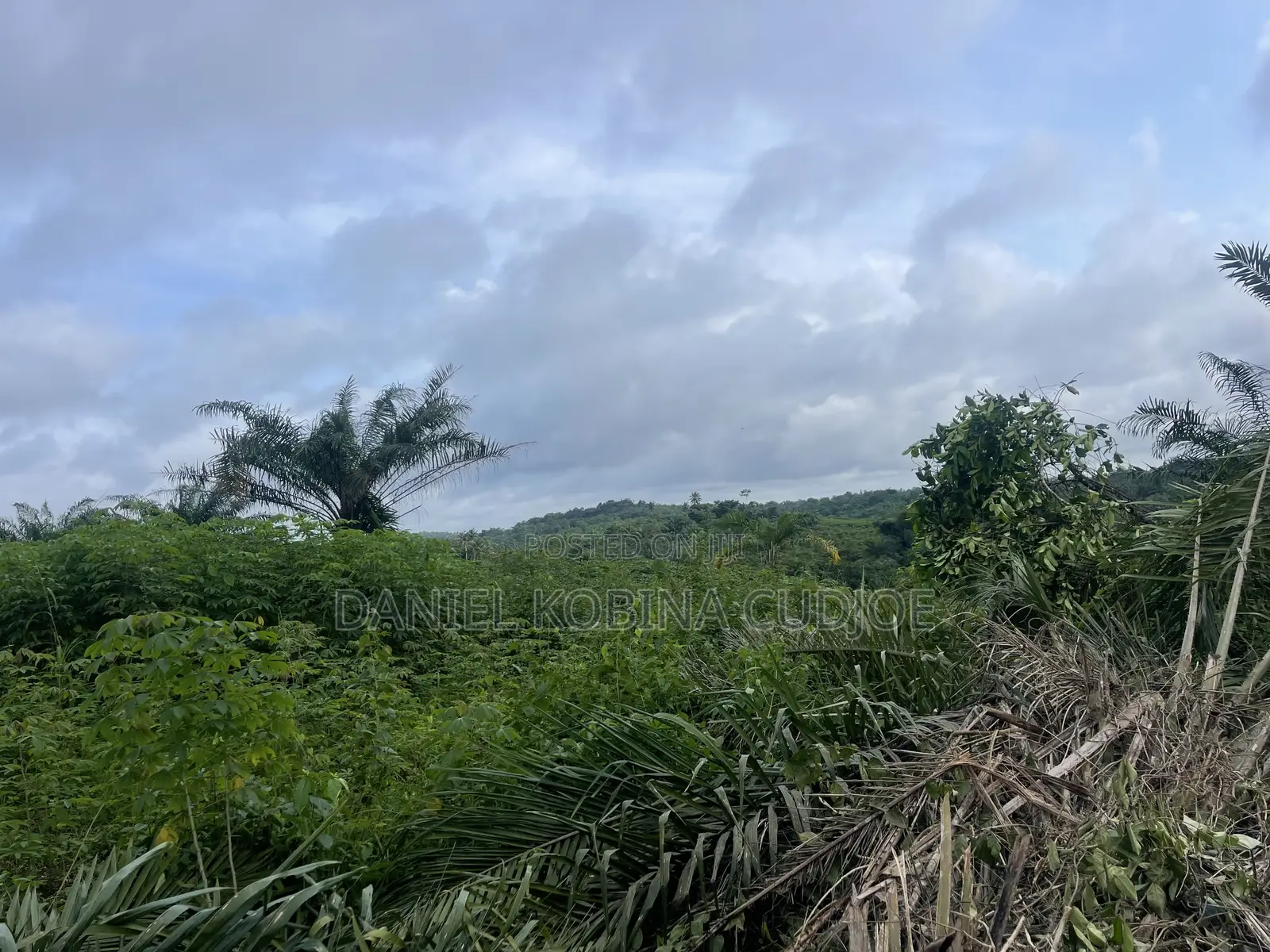 Lands for Sale