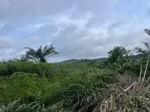 Lands for Sale